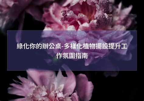 辦公桌放花|綠化你的辦公桌